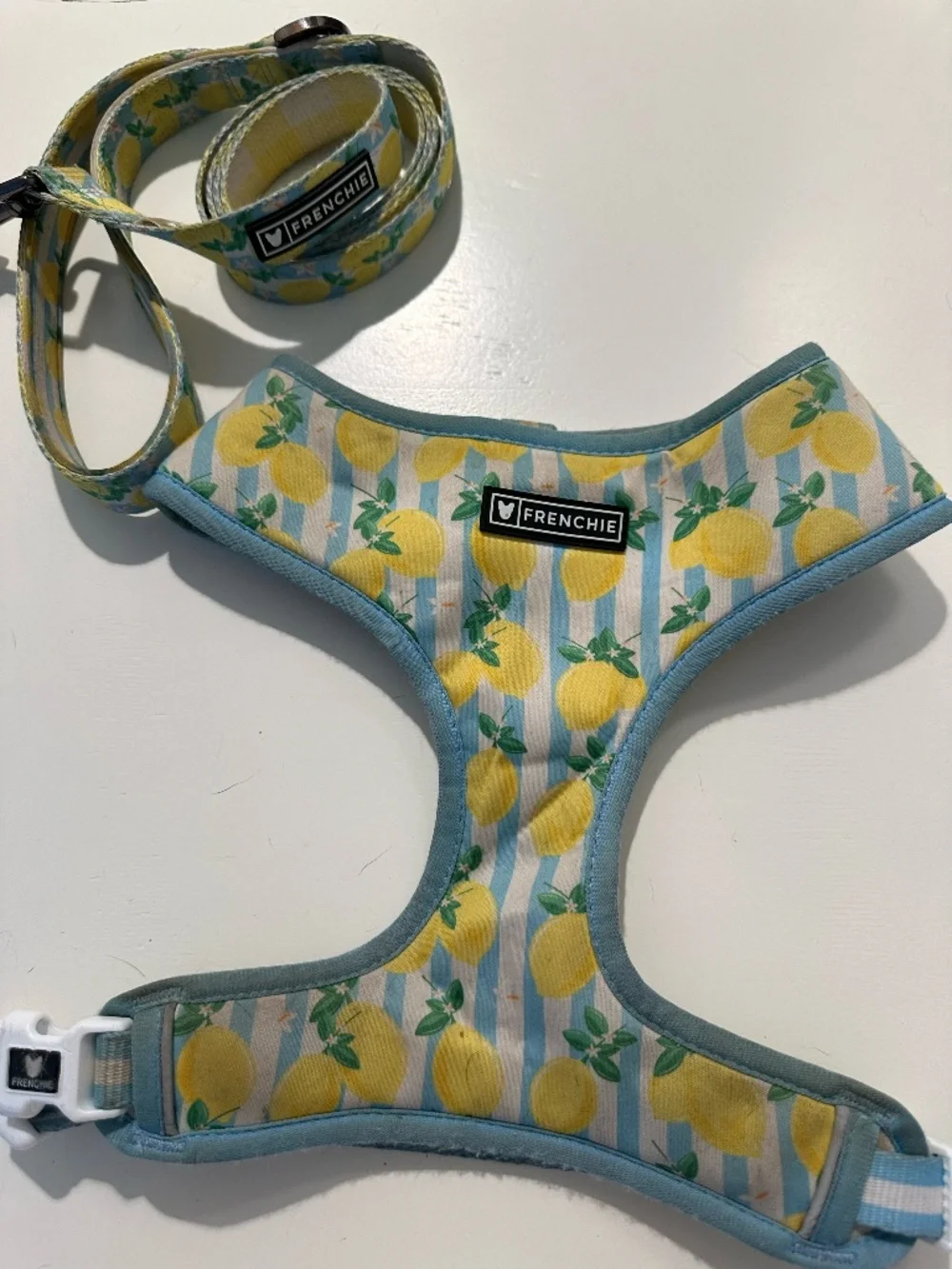 Frenchie Bulldog Reversible Dog Harness & Comfort Dual Print Leash - Lemon Print